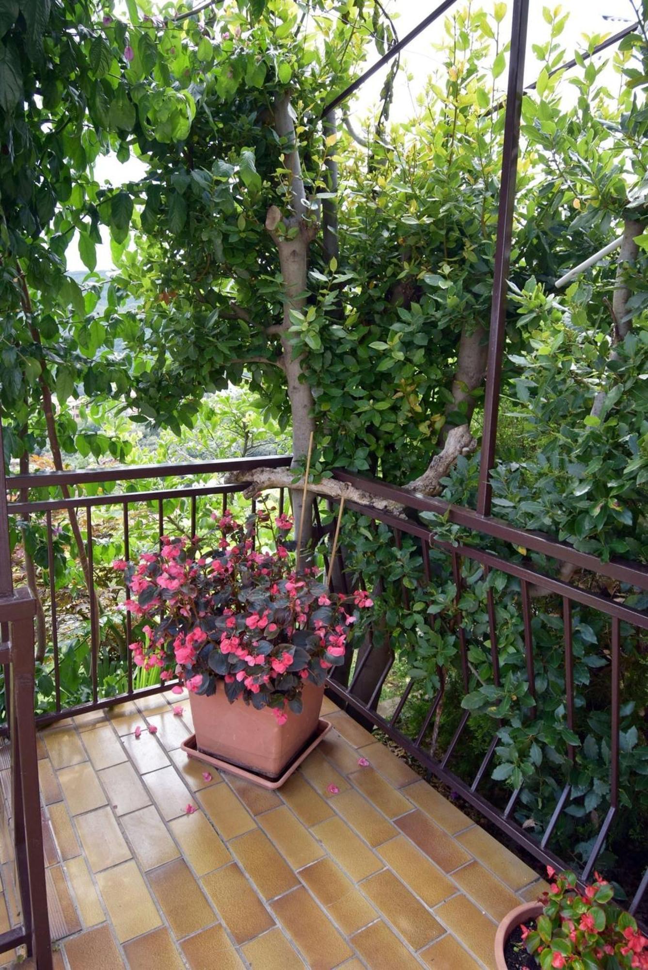 Apartment Neda In Rabac With Bay View ภายนอก รูปภาพ